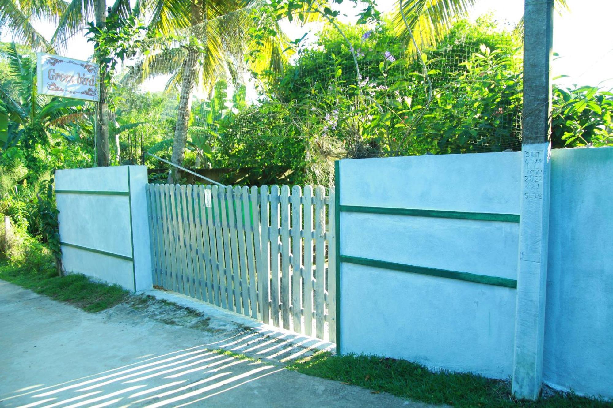 Green Bird Mirissa Luaran gambar